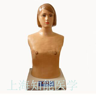 心肺聽診觸診電腦模擬人具備哪些功能？